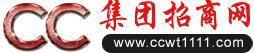 CC国际网投